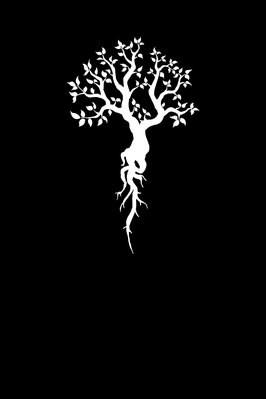 Cover of Book of the Ancestor