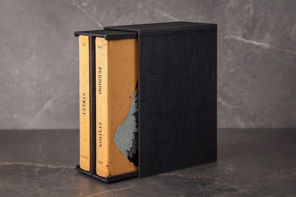 Cover of Perdido Street Station