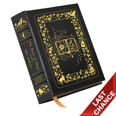 Cover of The Rules of Magic