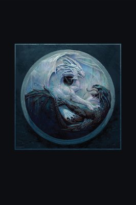 Cover of The Summer Dragon