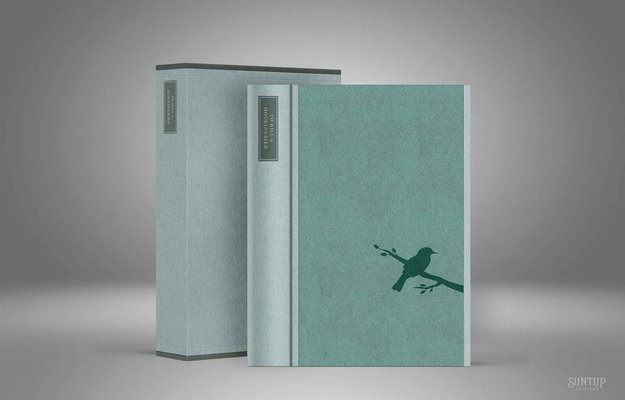 Cover of To Kill a Mockingbird