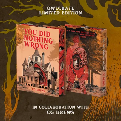 Cover of You Did Nothing Wrong